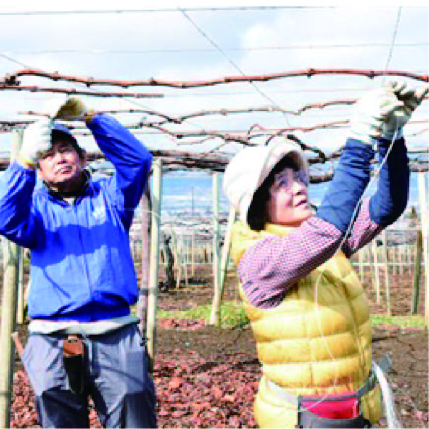 若林和枝＆重則